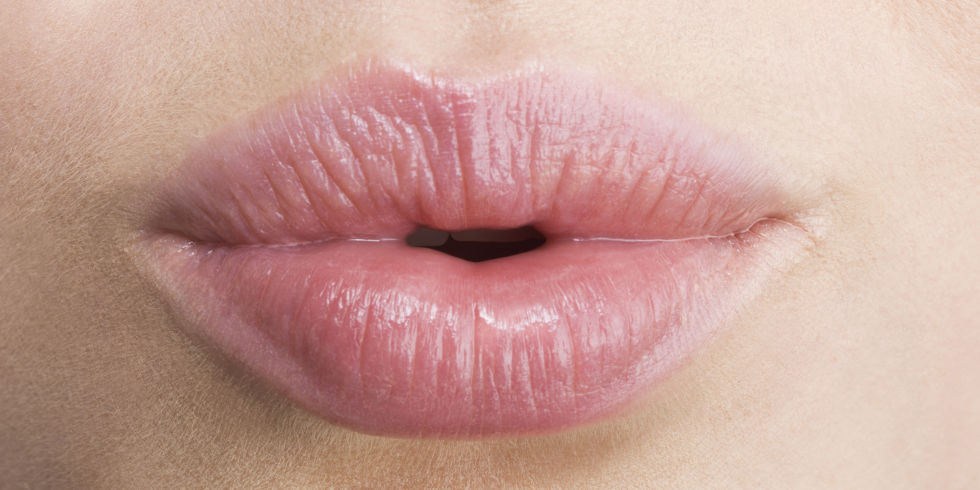 Nipple lips 1